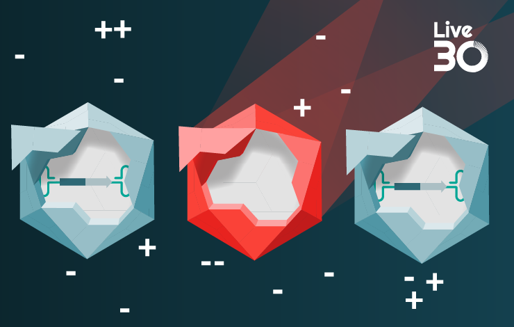 Novel resin design enables efficient enrichment of full AAV capsids by anion exchange chromatography