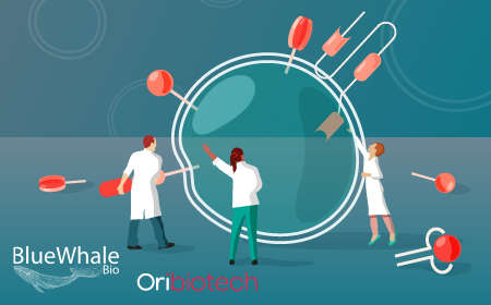 Cell-derived nanoparticles: a new paradigm for CAR-T cell activation and manufacturing