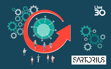 A scalable CAR-T cell manufacturing workflow producing 100+ doses per batch