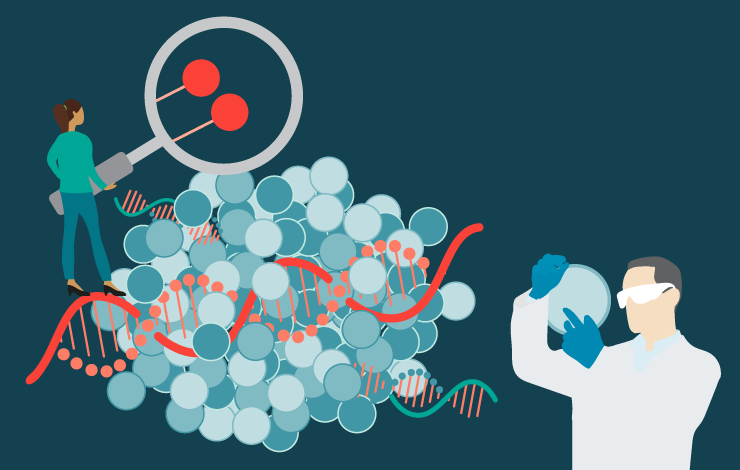 Optimizing CRISPR/Cas9 cell line development with microfluidic single-cell sorting