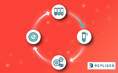 Maximizing recovery in lentiviral downstream processing: strategies from development to GMP