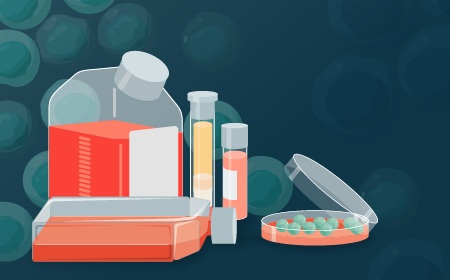 Transitioning to serum-free T cell manufacturing: process considerations and cross-platform scale-up data