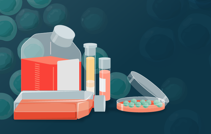 Transitioning to serum-free T cell manufacturing: process considerations and cross-platform scale-up data