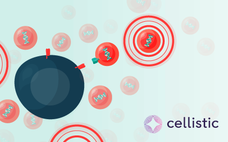 Scaling iPSC-derived therapies to GMP: lessons from immune and regenerative medicine programs 