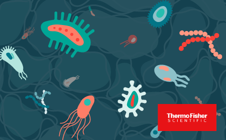 Cell therapy manufacturing without late surprises: contamination risk, QC timing, and patient-specific workflows 