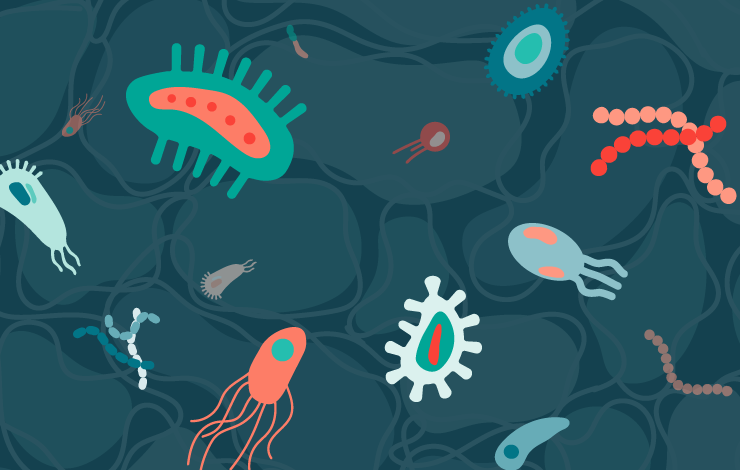 Cell therapy manufacturing without late surprises: contamination risk, QC timing, and patient-specific workflows 