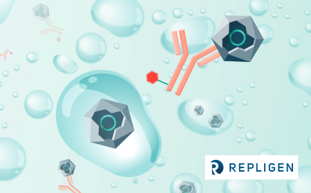 Case study: real-time AAV titer monitoring validated against ddPCR and immunoassay
