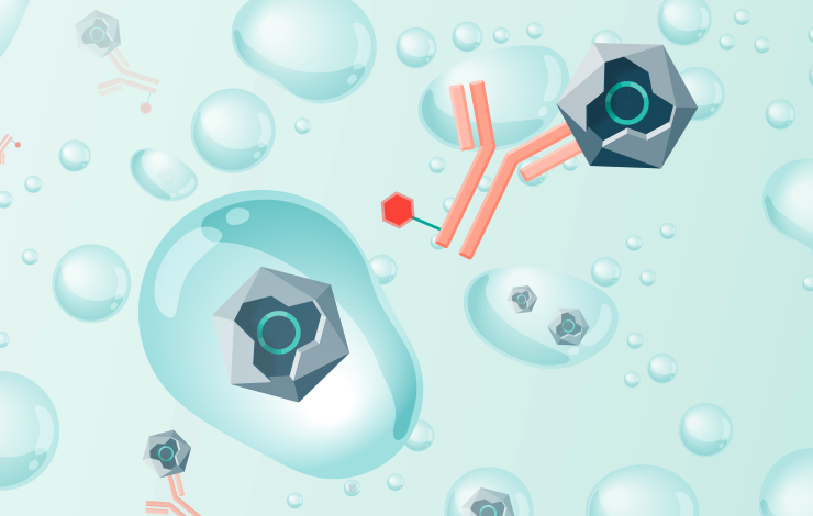 Case study: real-time AAV titer monitoring validated against ddPCR and immunoassay