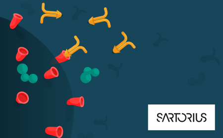 From EV to LV: Scalable purification using membrane chromatography 