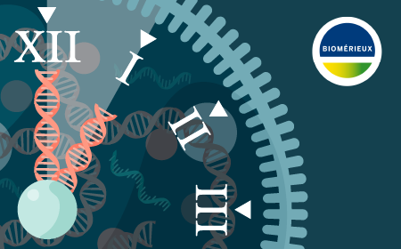 Rethinking mycoplasma testing: 1-hour results in cell and gene therapy QC case study 