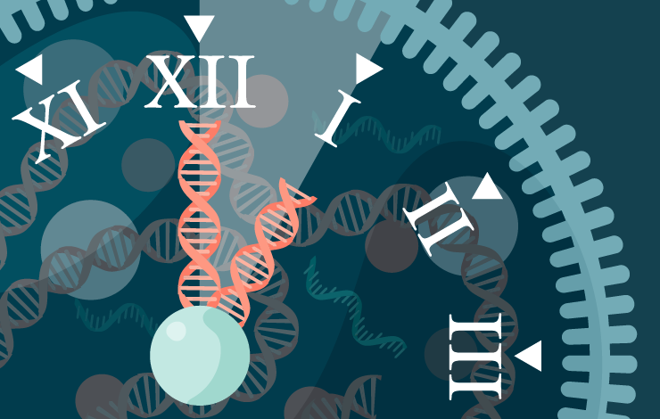 Rethinking mycoplasma testing: 1-hour results in cell and gene therapy QC case study 