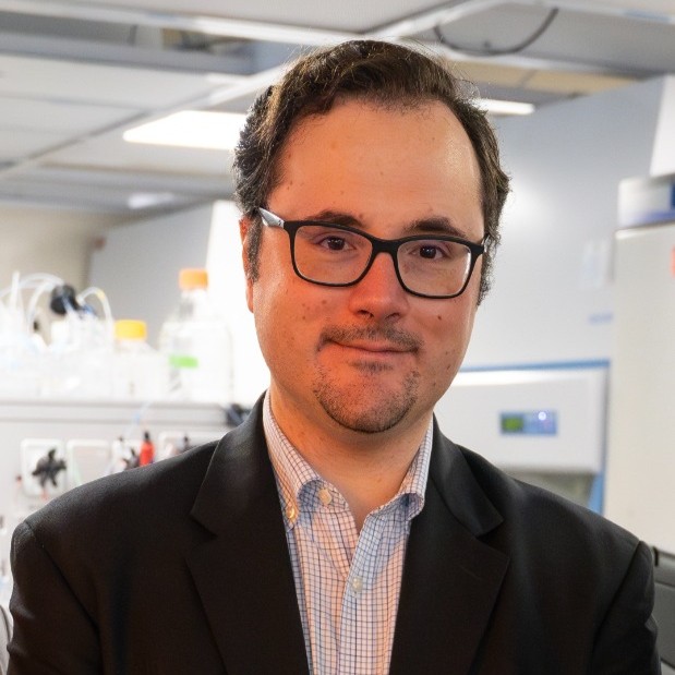 Dr Stefano Menegatti