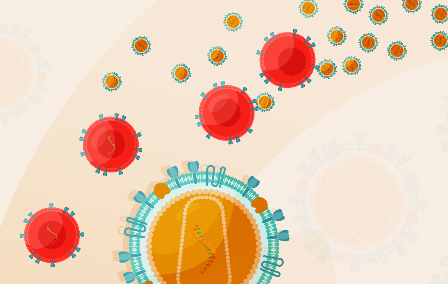  From promise to proof: the evidence agenda for <i>in vivo</i> CAR-T 
