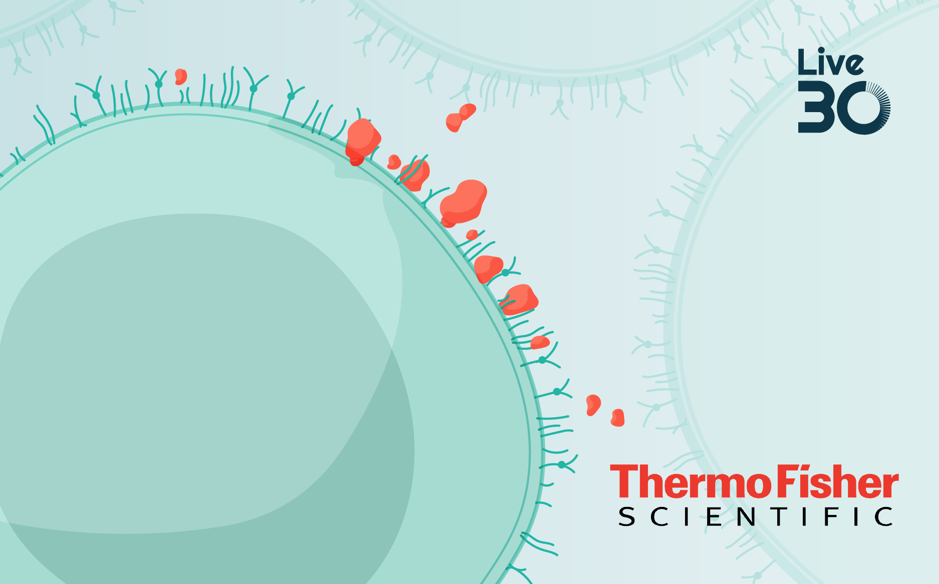 Rapid microbial QC for closed CAR-T manufacturing: data from a simulated fill-finish study 