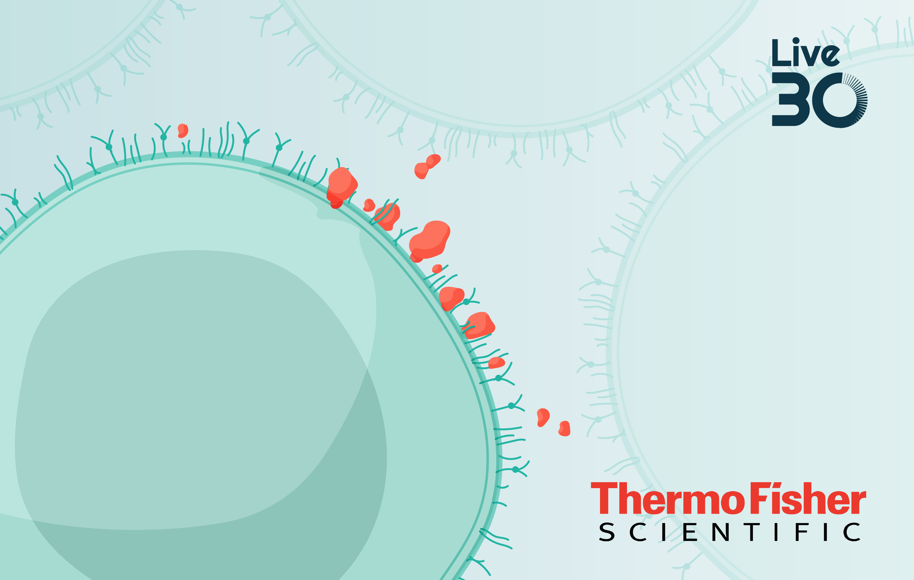 Rapid microbial QC for closed CAR-T manufacturing: data from a simulated fill-finish study 
