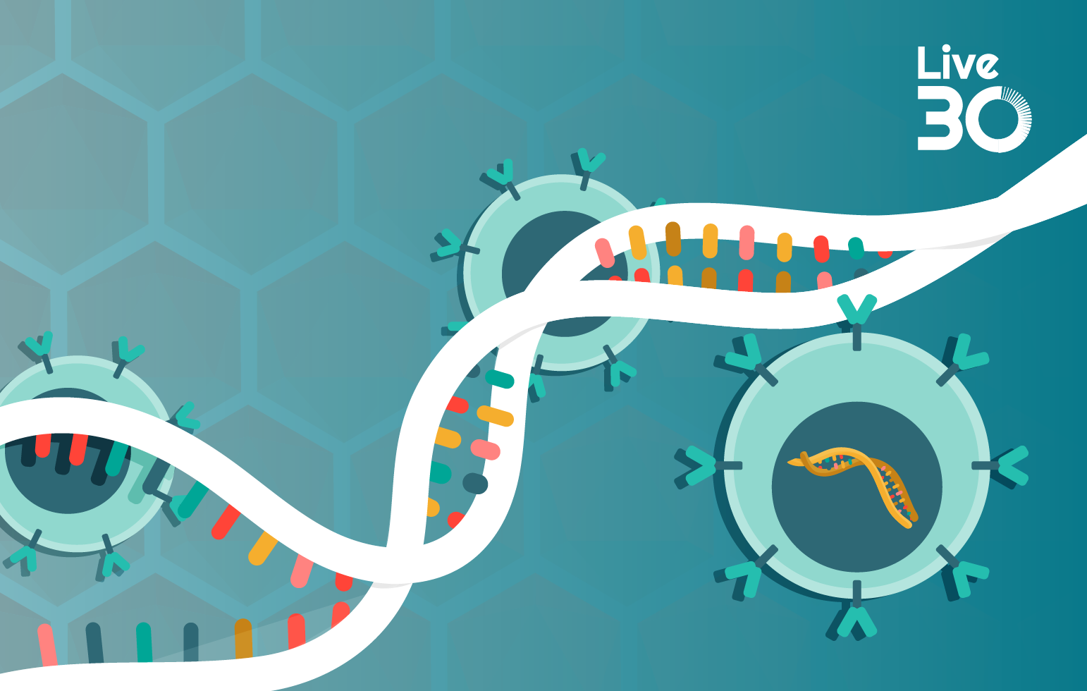 Controlling residual host cell DNA in viral vaccine manufacturing: optimizing endonuclease treatment in viral vector and vaccine processes 