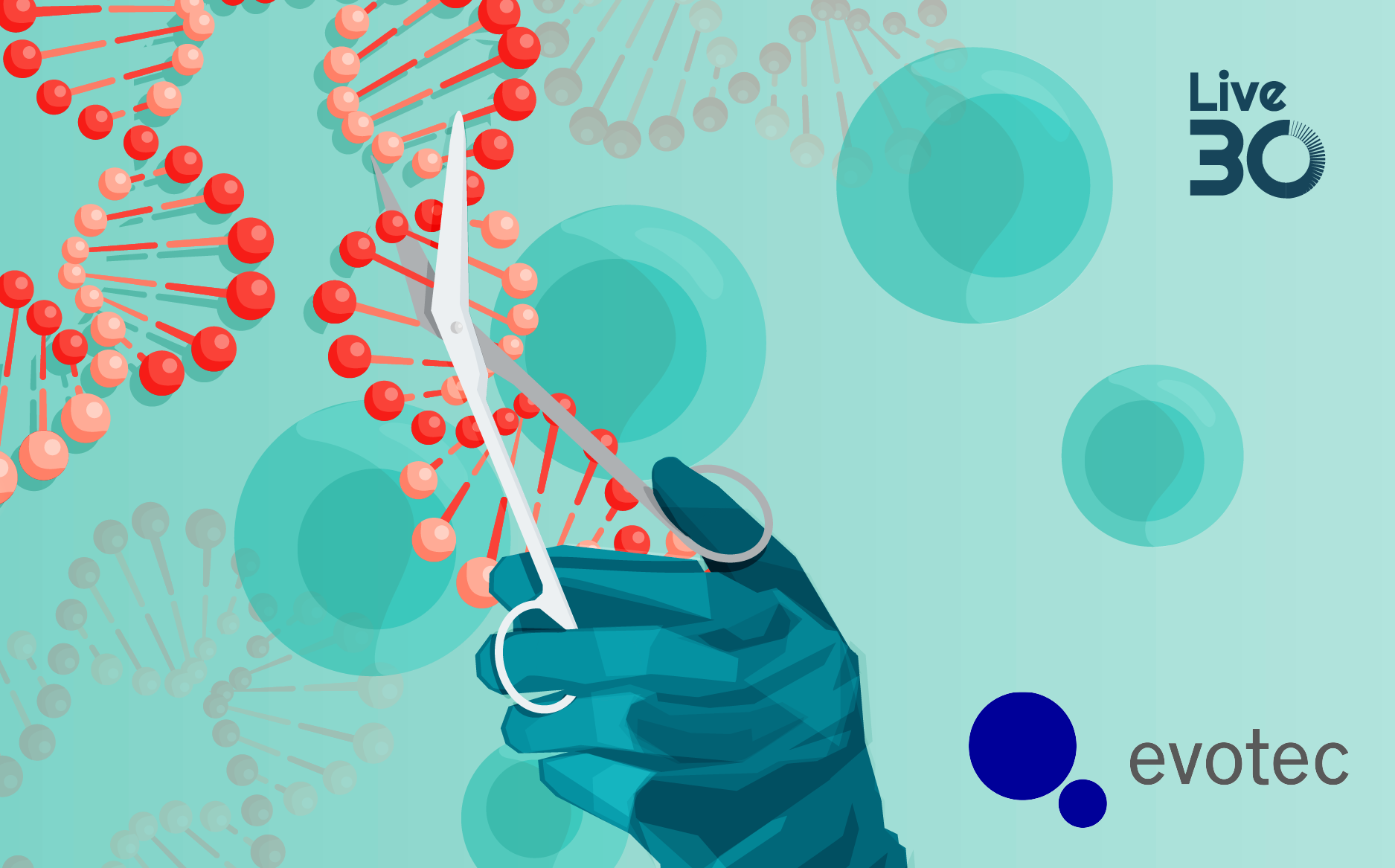 From gene editing to GMP: building scalable, immune-shielded iPSC-derived cell therapies 