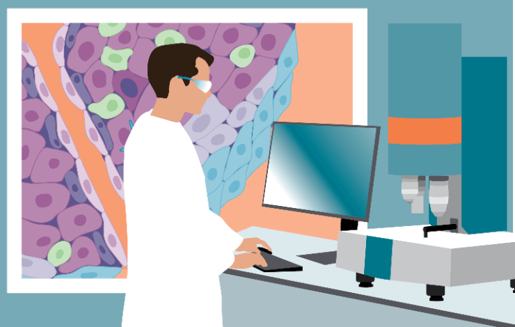 Studying solid tumors and their micro-environment based on automated large-scale 3D fluorescence imaging