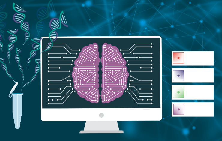Predicting patient response to immune targeted therapies via interrogation of the TME