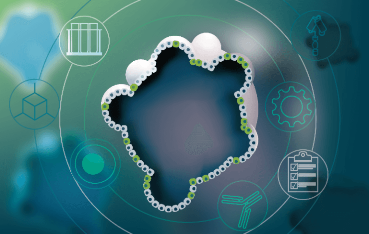 Patient-derived organoids: an emerging platform to de-risk immunotherapy development