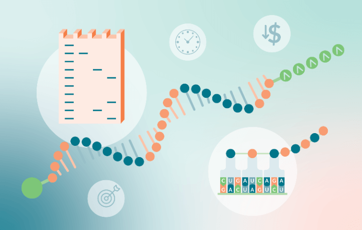 Exploring mRNA quality assessment using electrophoretic separation methods  ﻿
