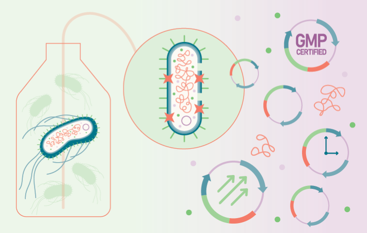 ﻿﻿Enhancing manufacturing efficiency and quality through optimized lysis in plasmid DNA extraction
