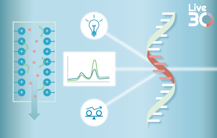 Exploring the latest advances in purification and analysis of oligonucleotide therapeutics