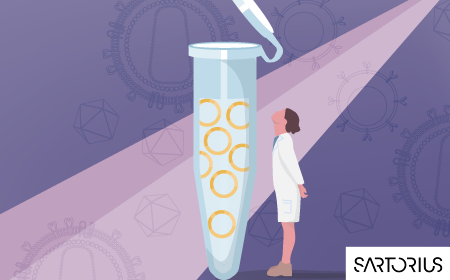 Optimizing plasmid DNA purification: strategies for reliable and expandable processes 