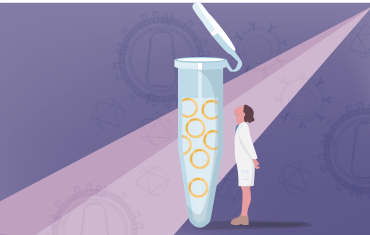 Optimizing plasmid DNA purification: strategies for reliable and expandable processes 