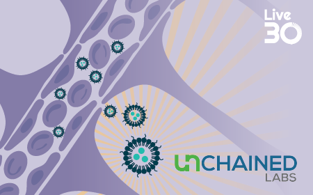 Targeting brain delivery of lipid and polymer nanoparticle-based gene therapies with Sunshine