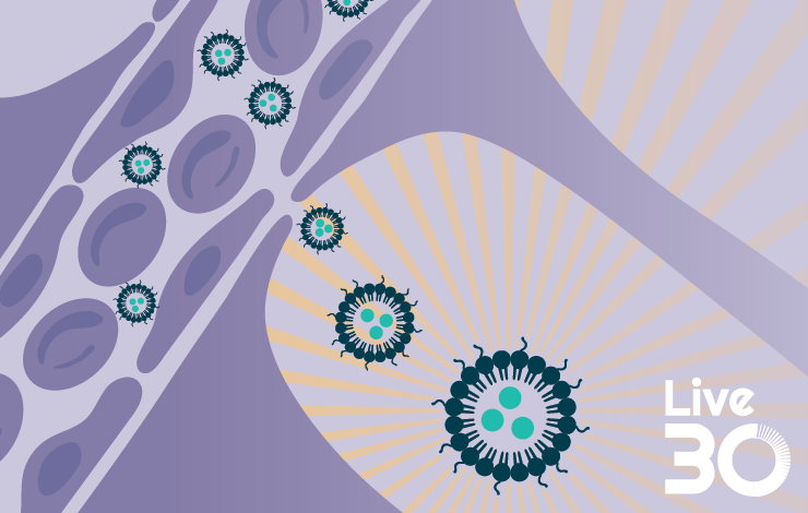 Targeting brain delivery of lipid and polymer nanoparticle-based gene therapies with Sunshine