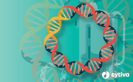 Key strategies for pDNA optimization and scale-up to 30L