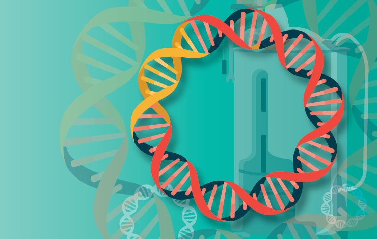Key strategies for pDNA optimization and scale-up to 30L