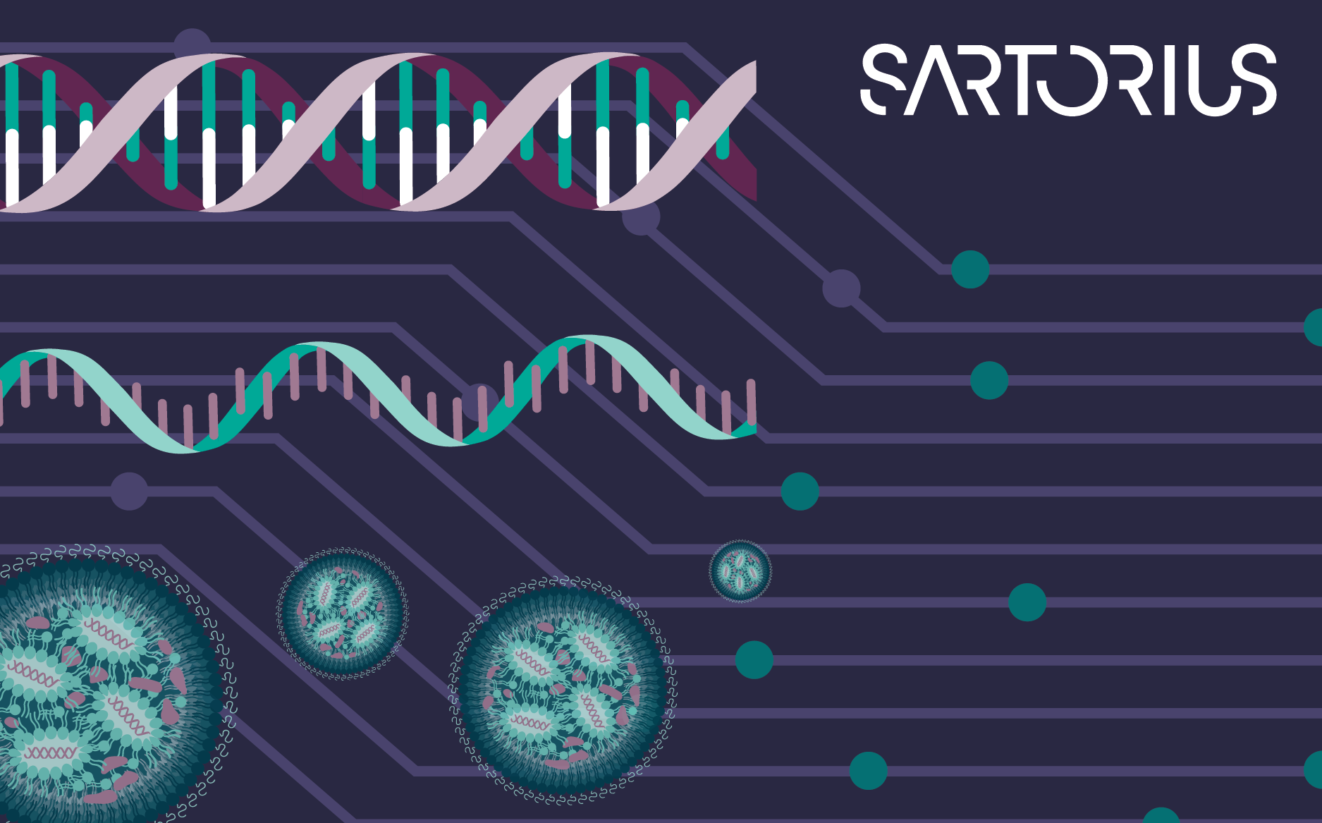 Advancing nucleic acid therapeutics: scalable strategies for plasmid DNA, mRNA, and LNP purification supported by rapid at-line analytics