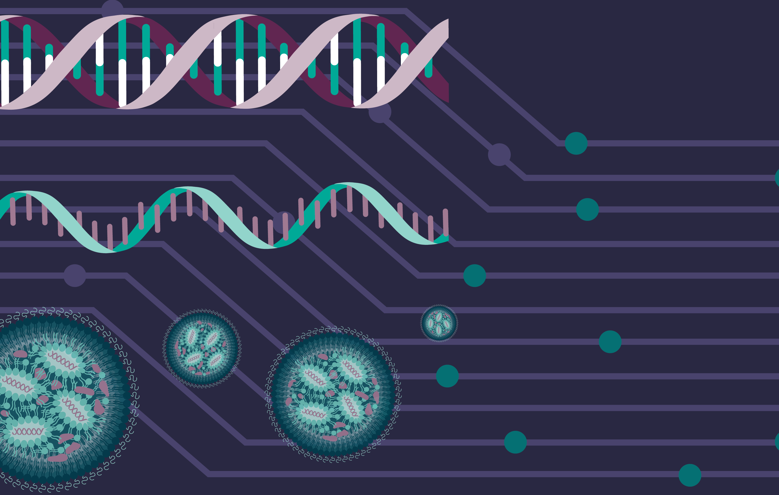 Advancing nucleic acid therapeutics: scalable strategies for plasmid DNA, mRNA, and LNP purification supported by rapid at-line analytics