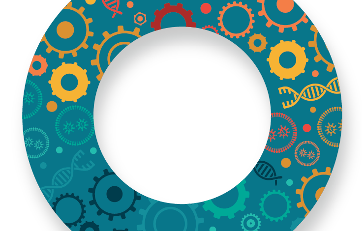 Mastering LNP complexity: manufacturing, characterization, and targeting