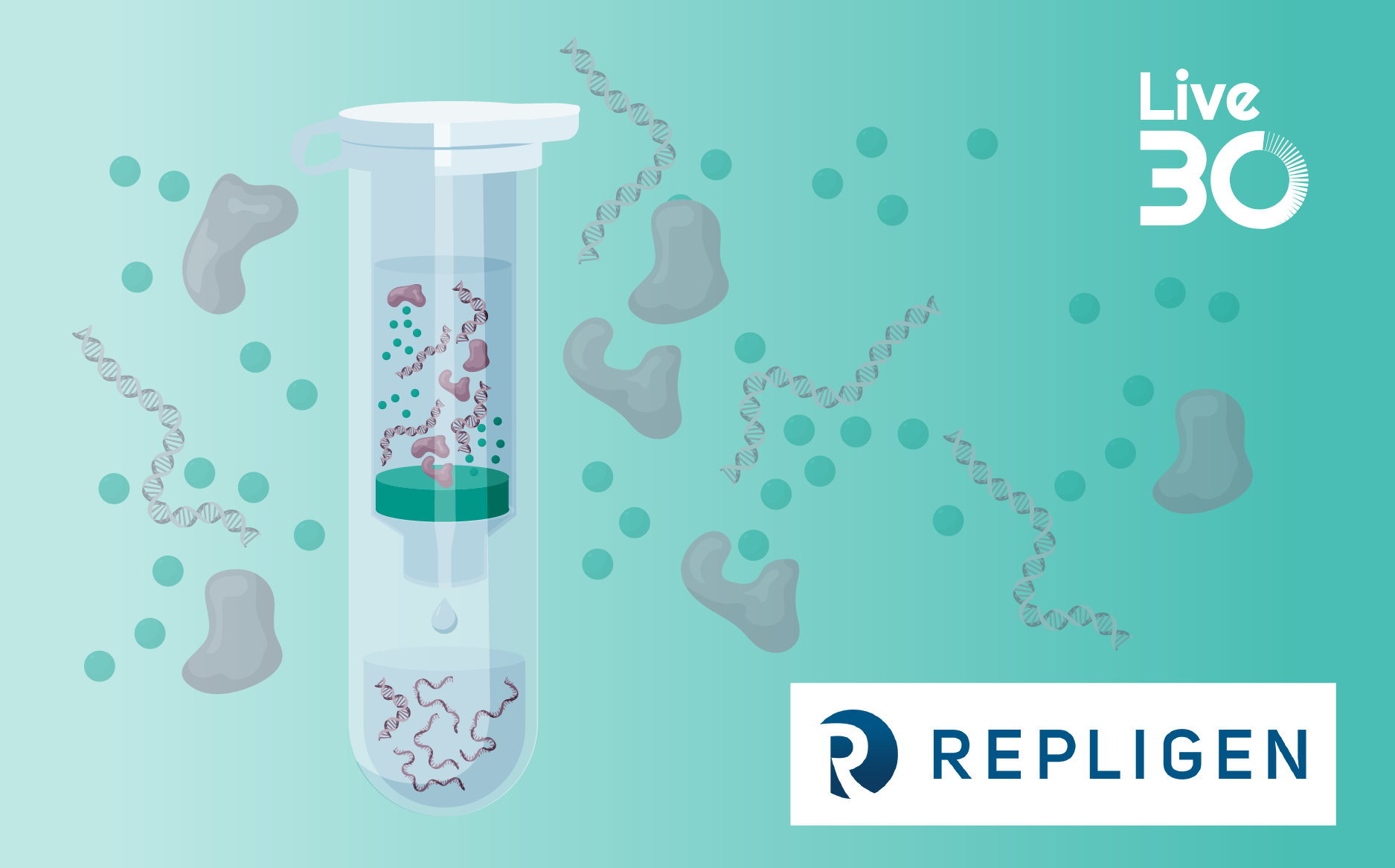 Achieving >80-fold reduction in dsRNA from mRNA feeds using affinity chromatography
