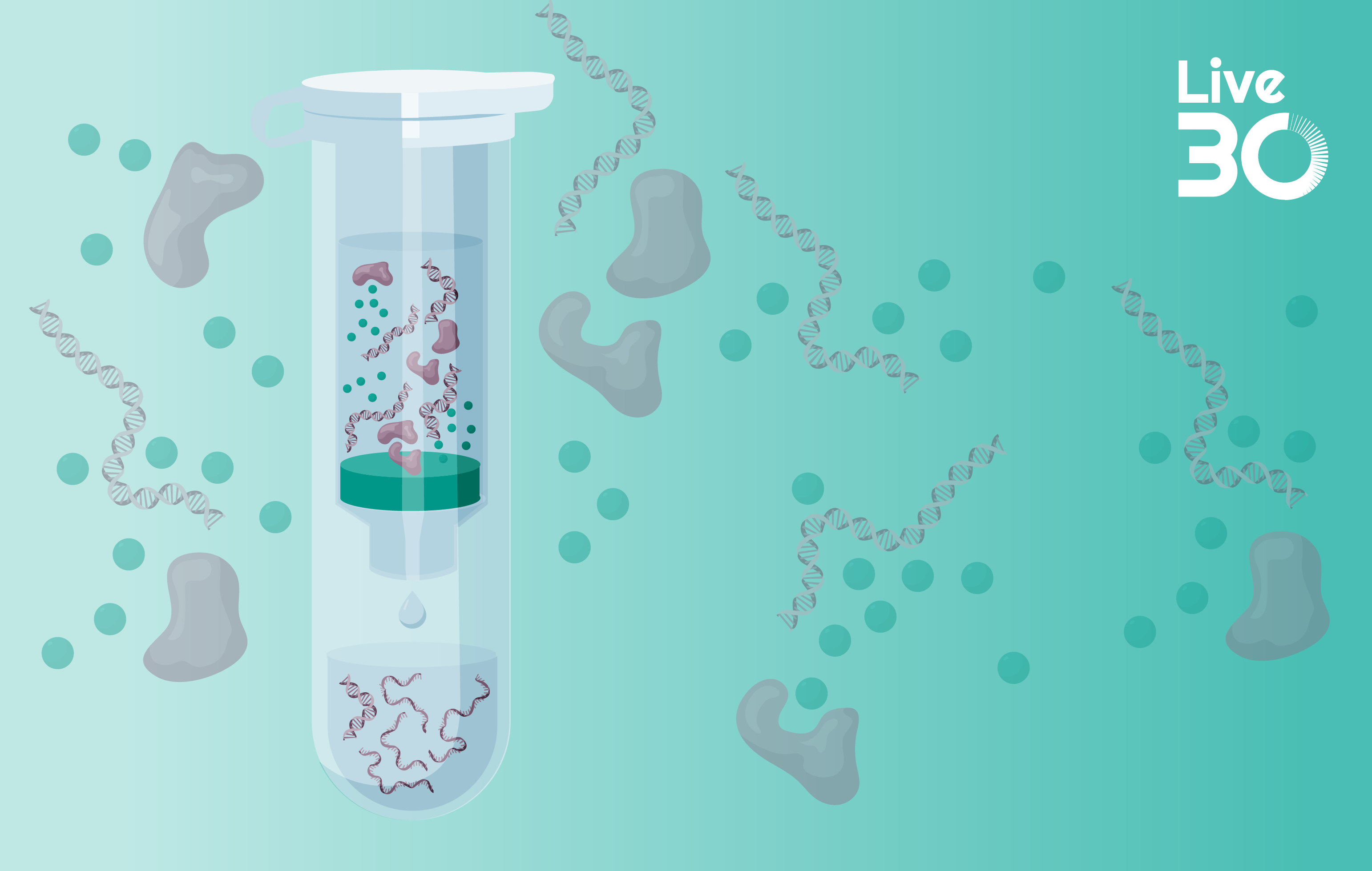 Achieving >80-fold reduction in dsRNA from mRNA feeds using affinity chromatography