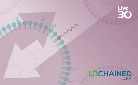 Switch out the PEG - optimization of polysarcosine lipid nanoparticles for mRNA delivery 
