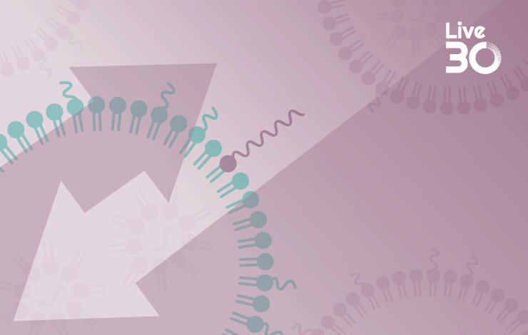 Switch out the PEG - optimization of polysarcosine lipid nanoparticles for mRNA delivery 
