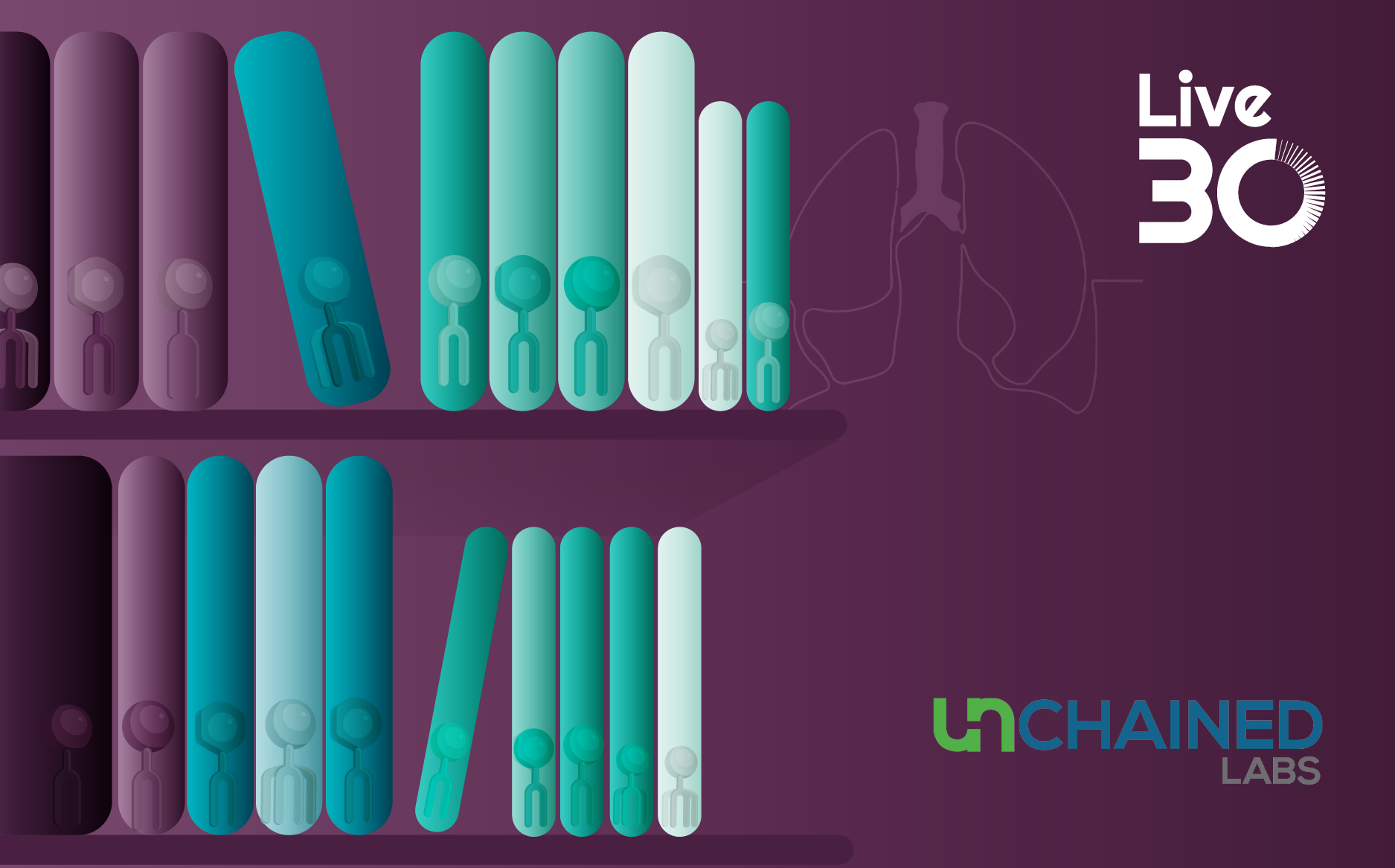 Accelerating lung-targeted LNP development with curated lipid libraries and accessible characterization workflows 