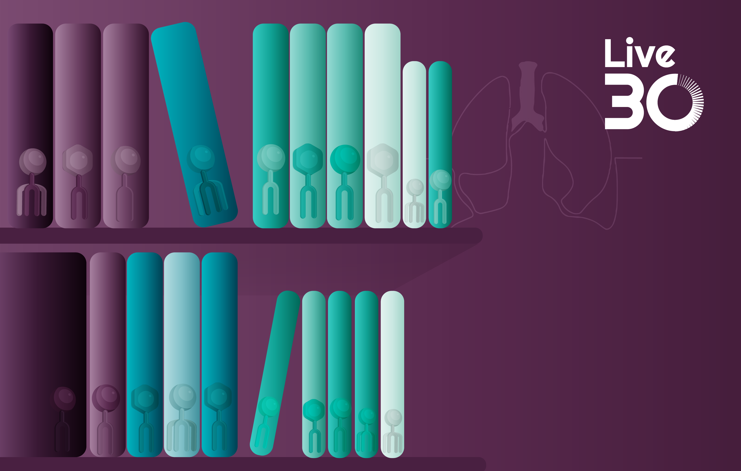 Accelerating lung-targeted LNP development with curated lipid libraries and accessible characterization workflows 