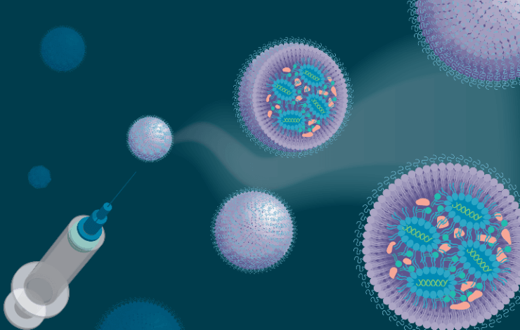 Process and analytical insights for GMP manufacturing of mRNA lipid nanoparticles 