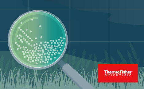 Converting to animal-origin-free peptones with 2- to 5-fold improved bacterial growth