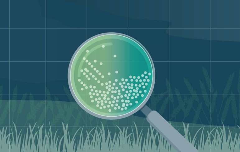 Converting to animal-origin-free peptones with 2- to 5-fold improved bacterial growth