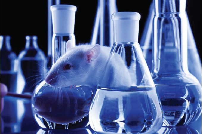 US FDA issued draft guidance to streamline nonclinical safety studies for biologics and conjugated products in oncology