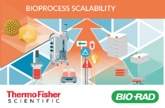 Enhancing vector bioprocess scalability