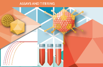 Assays and Titering 2019