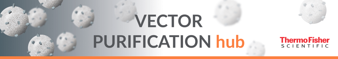 Welcome to the Vector Purification Hub