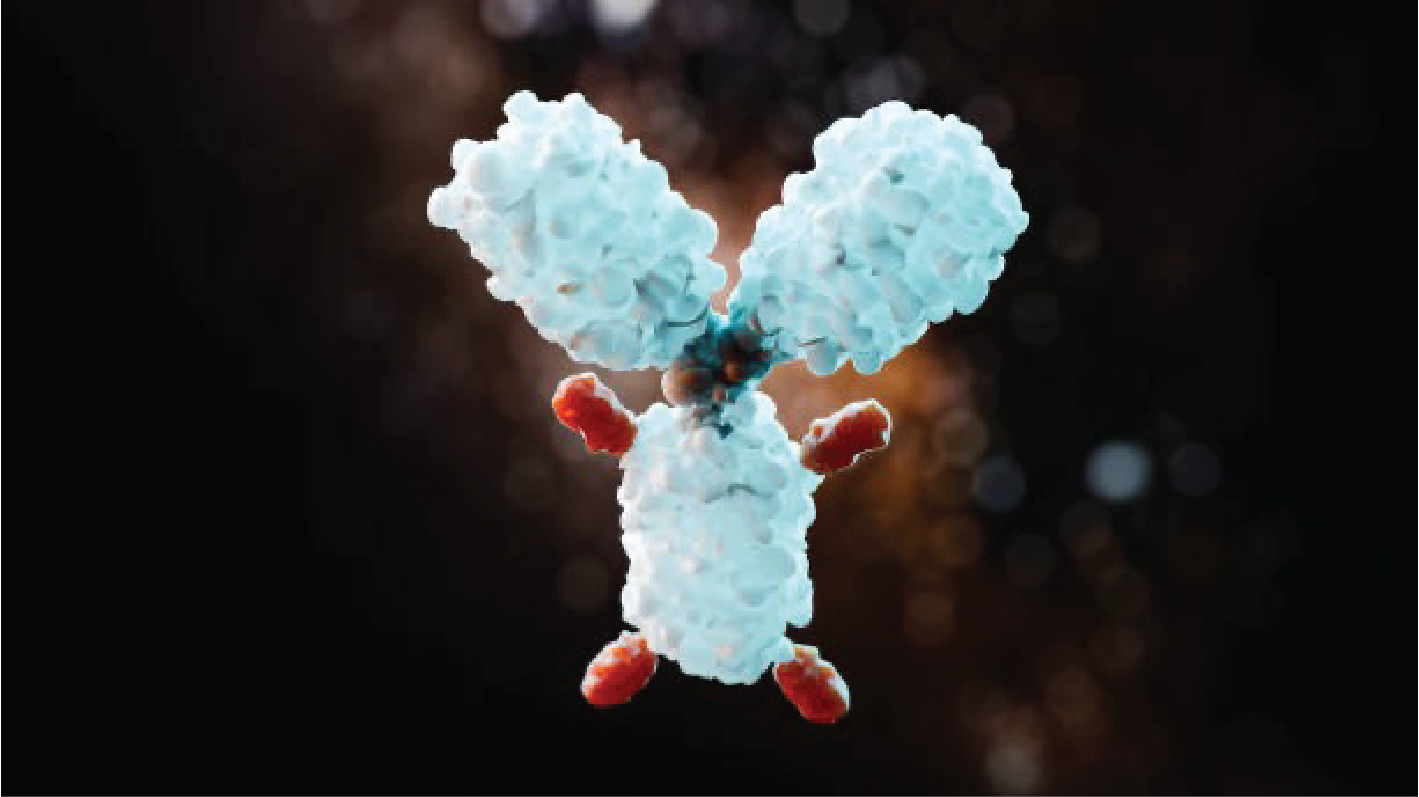 Enhertu® received first EU tumor-agnostic approval for a HER2-directed ADC